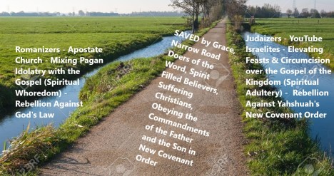 narrow road deep ditches meme